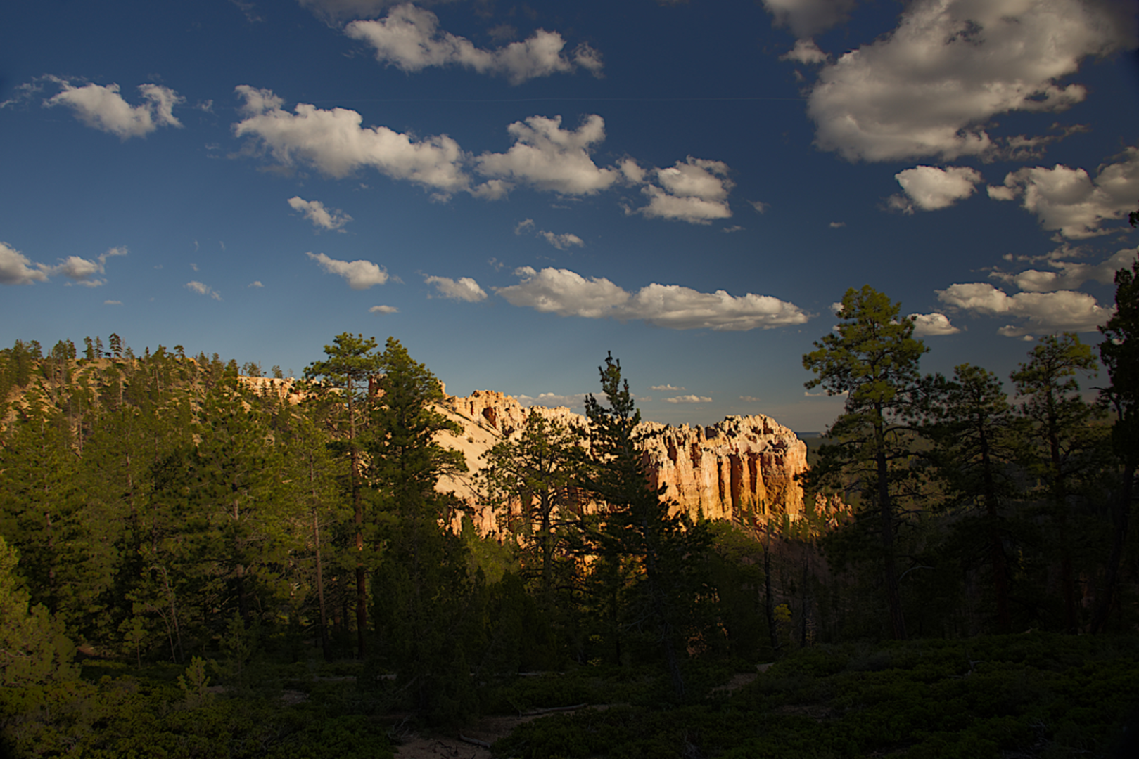 An image depicting the trail Sheep Creek and Swamp Canyon Loop Trail and its surrounding area.