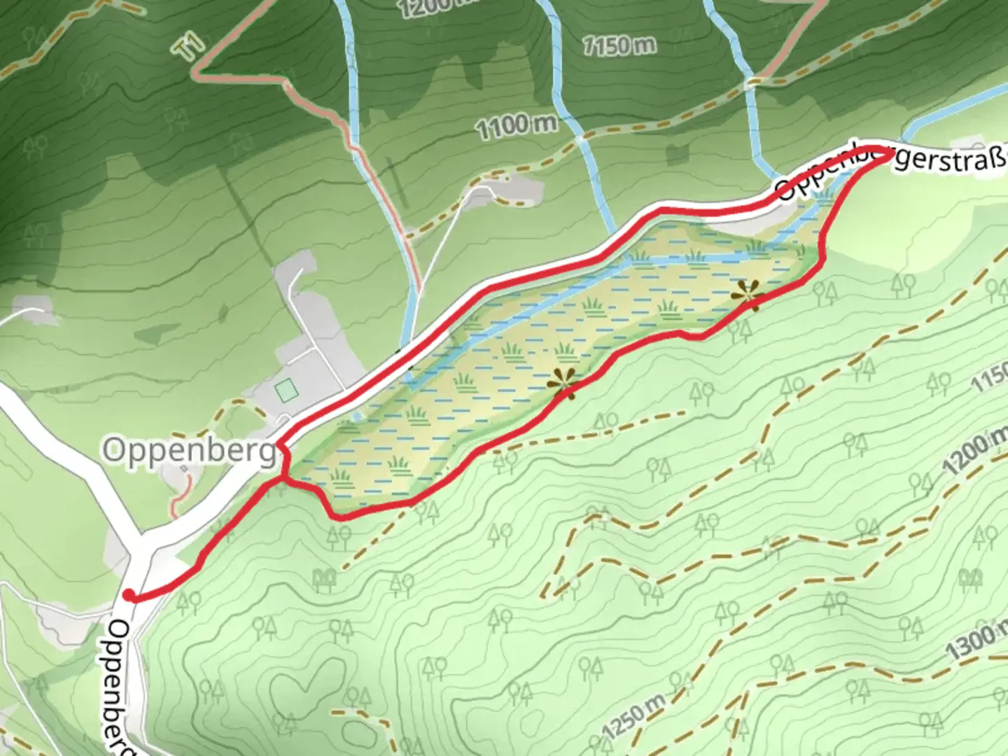 An image depicting the trail Moorrunde Oppenberg and its surrounding area.