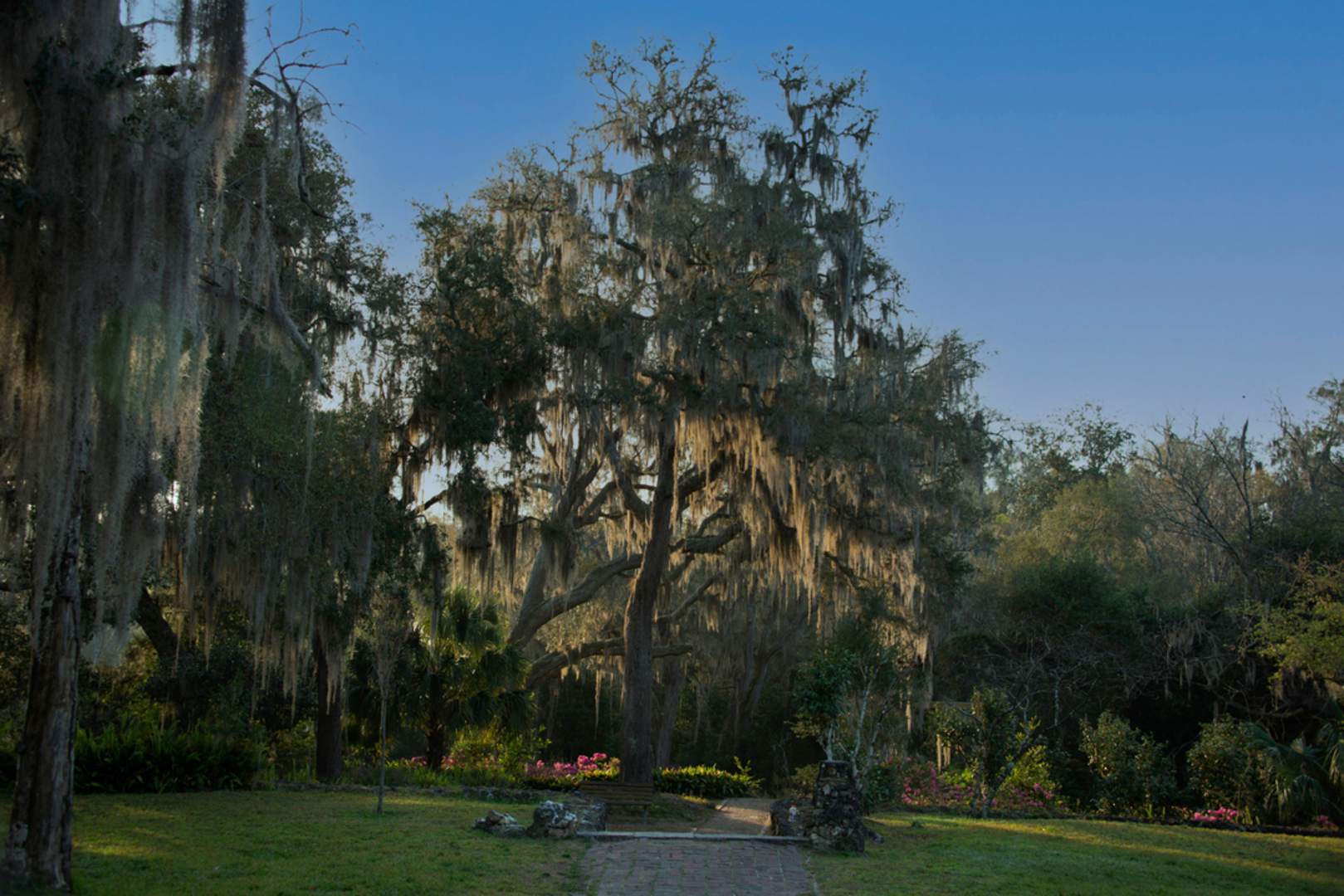 An image depicting the trail Ravine Gardens State Park Loop and its surrounding area.