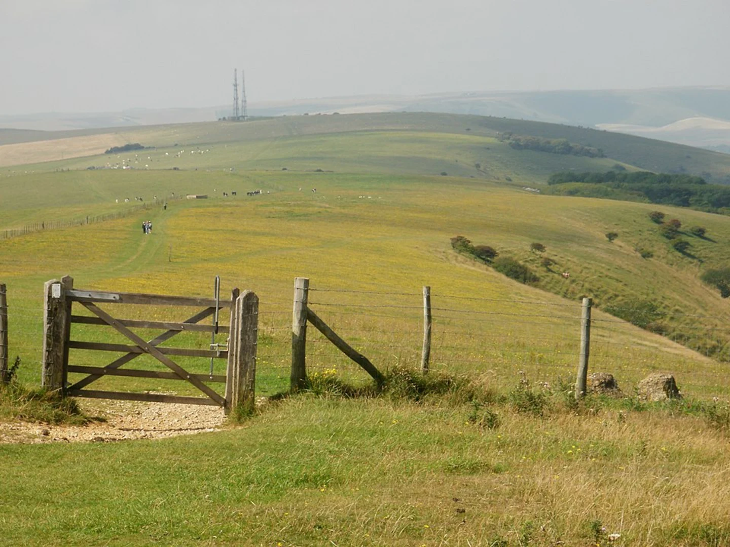An image depicting the trail Firley Beacon, Beddingham Hill and Firley Country Park Loop and its surrounding area.