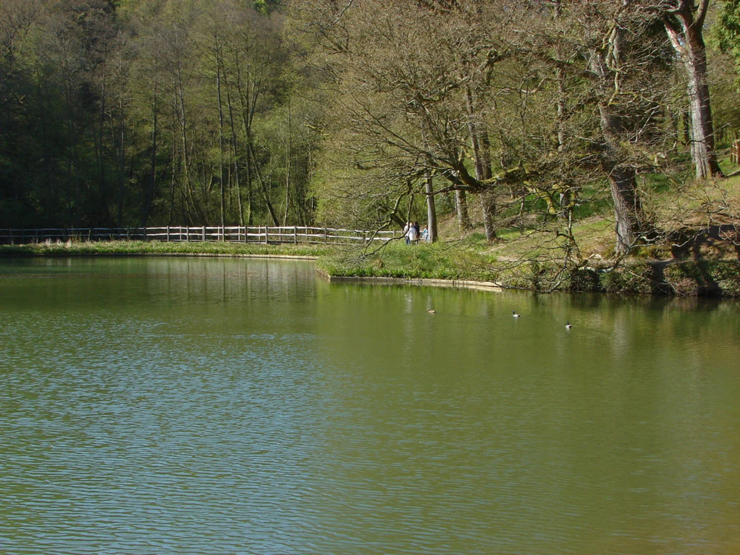 An image depicting the trail Westwood Lake and Wakehurst Place Loop and its surrounding area.