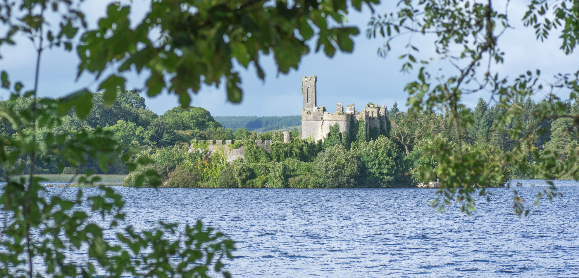 An image depicting the trail Lough Key Nature Trail and its surrounding area.