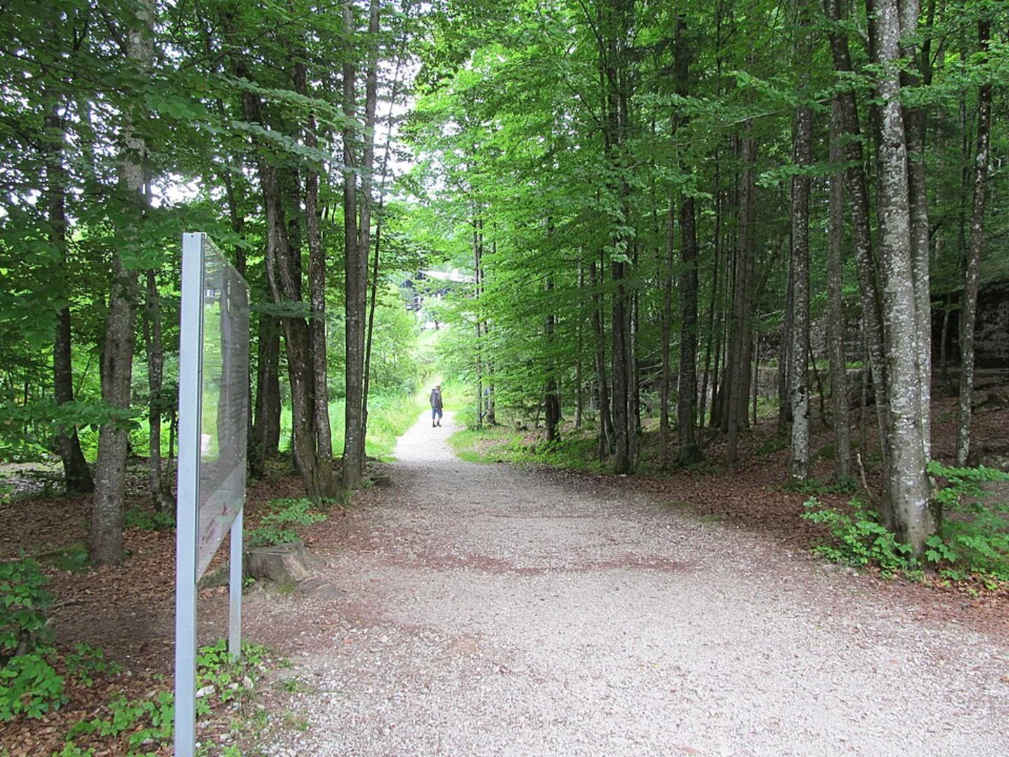 An image depicting the trail Lieser via Wasserfallweg and its surrounding area.
