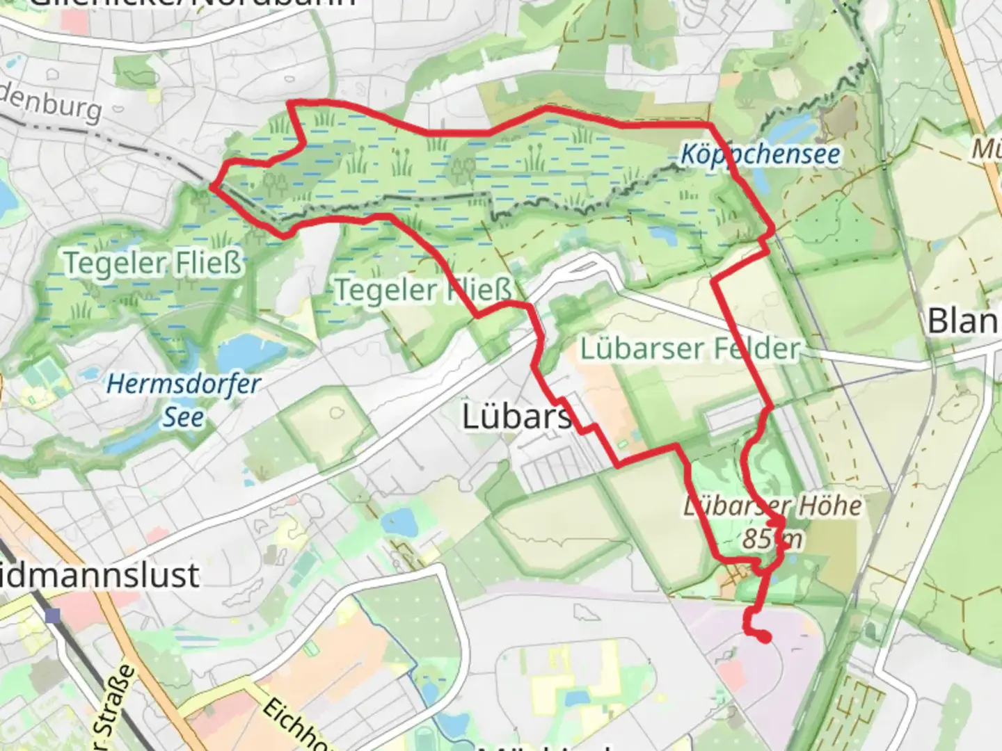 An image depicting the trail Lübarser Höhe via Grüner Balken Tegeler Fliesswal Weg and its surrounding area.