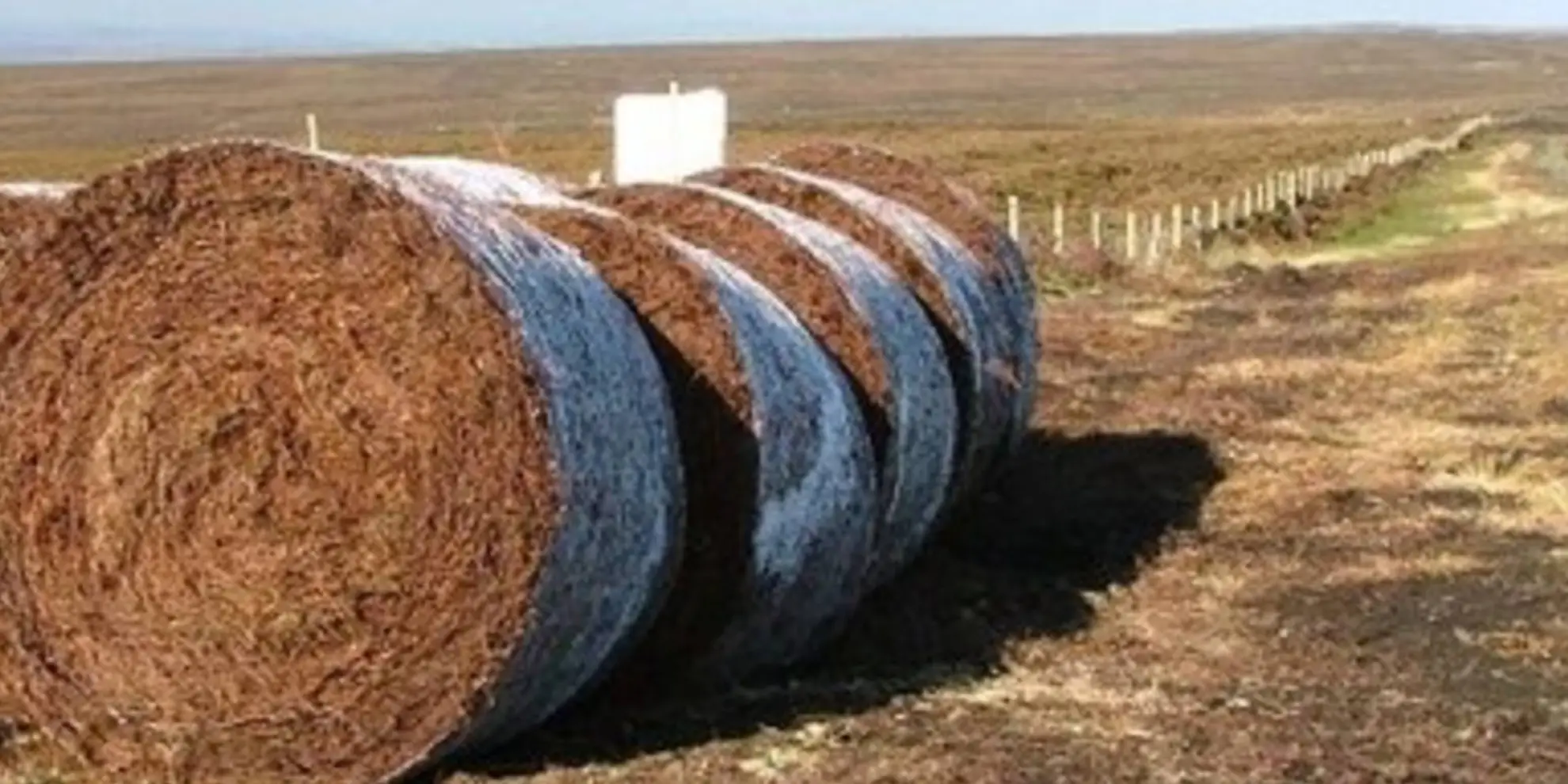 An image depicting the trail Newton House Plantation and Stony Leas and its surrounding area.