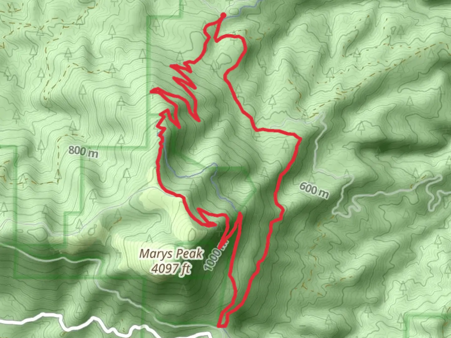 An image depicting the trail East and North Ridge Loop Trail - Woods Creek Road and its surrounding area.