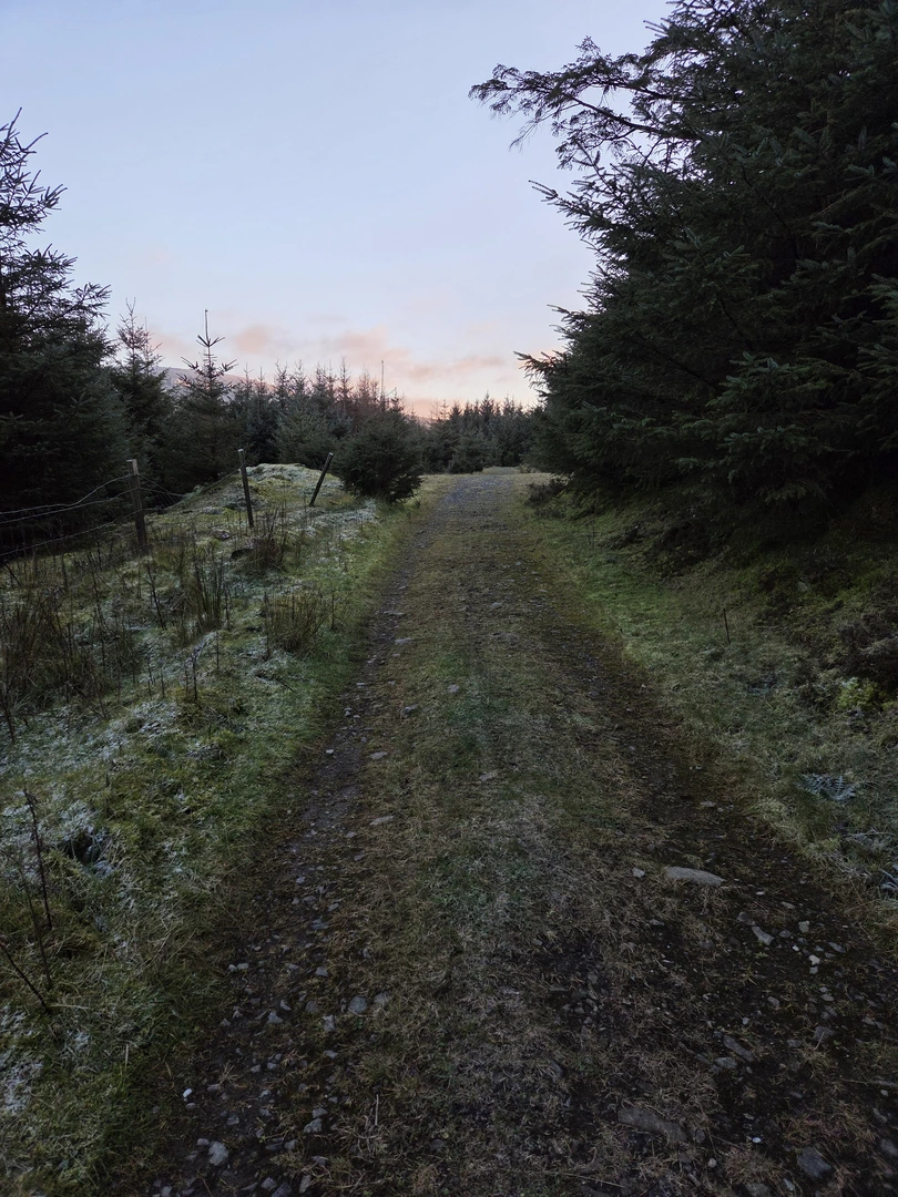 An image depicting the trail Ballinascorney Loop and its surrounding area.