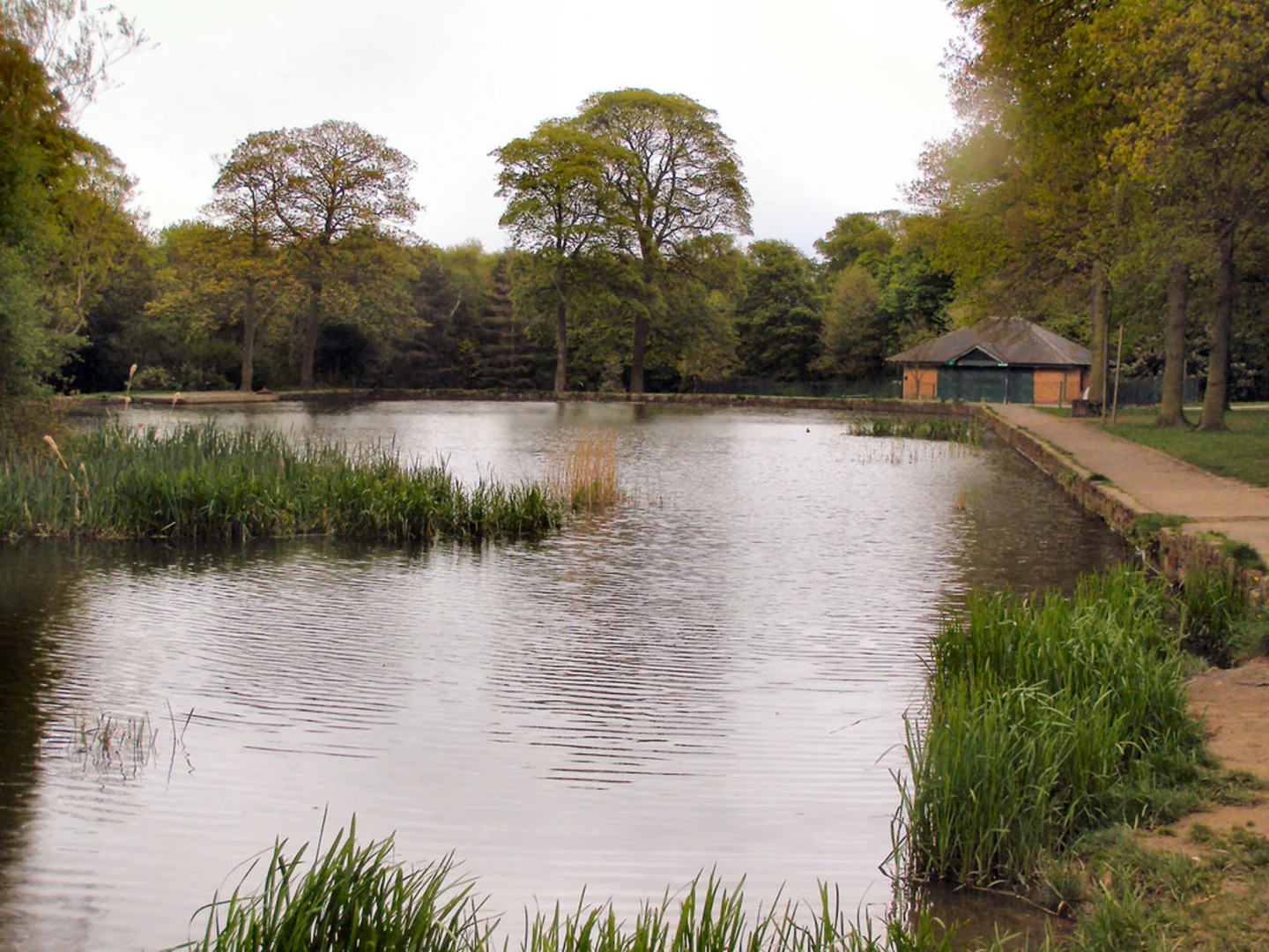 An image depicting the trail Middleton Park Loop and its surrounding area.