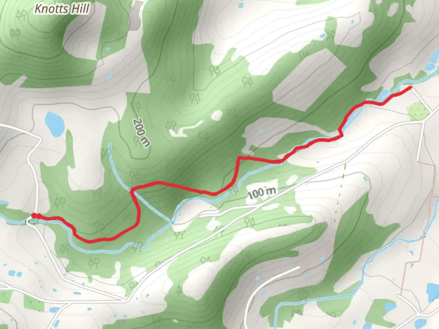 An image depicting the trail Nierinna Creek Track and its surrounding area.