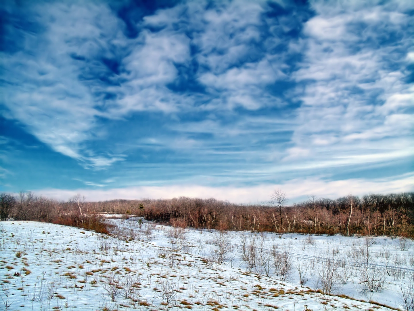 An image depicting the trail Stonehenge, Conglomerate and Blueberry Trail Loop and its surrounding area.