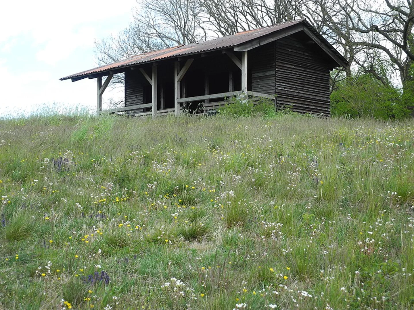 An image depicting the trail Wolfsschlucht Horngraben, Mosenberg and Windsbornmaar Loop and its surrounding area.