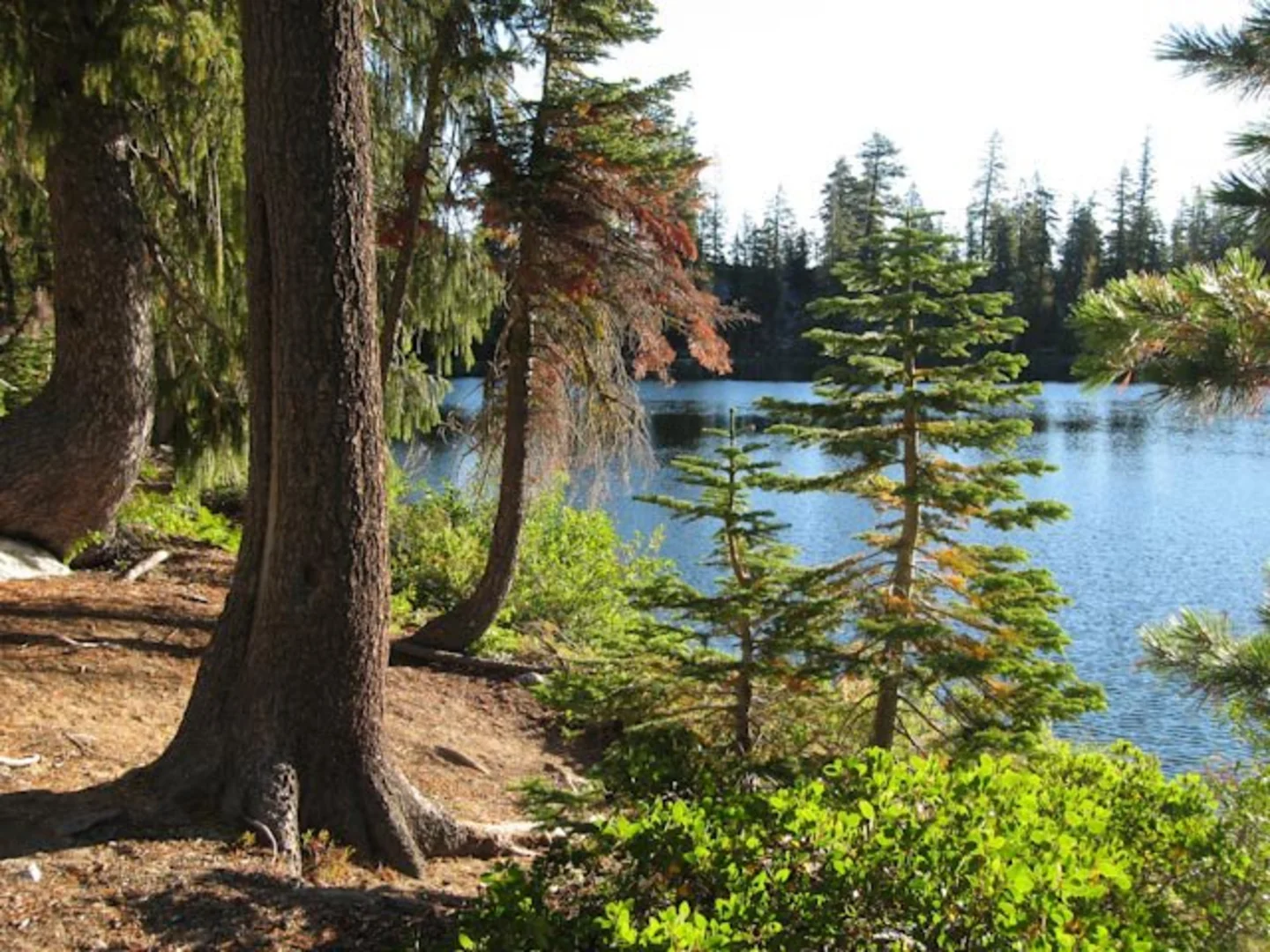 An image depicting the trail Paynes Lake Trail and its surrounding area.