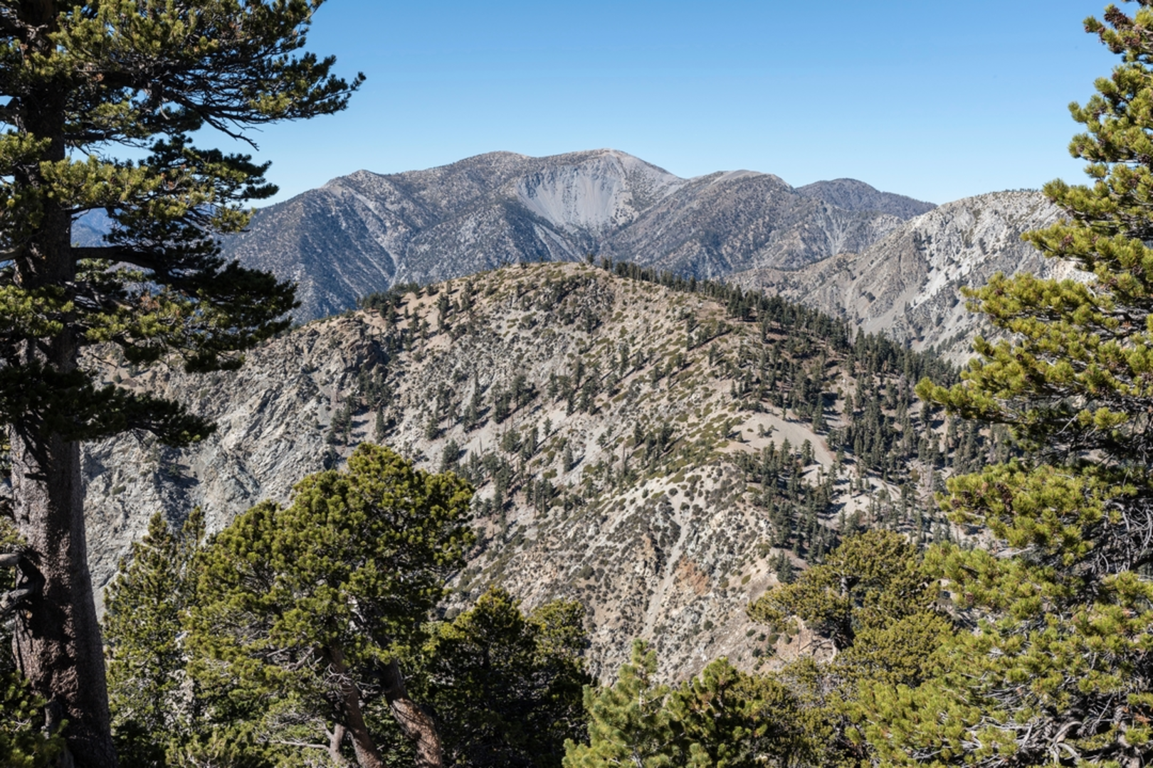 An image depicting the trail Bighorn Peak Trail and its surrounding area.