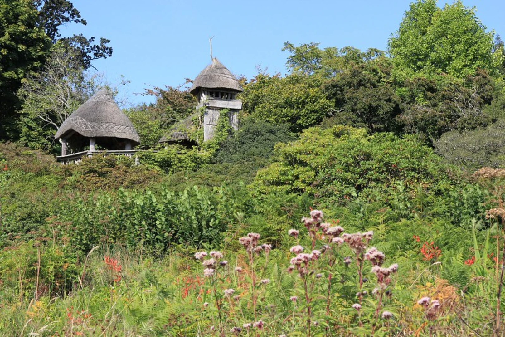 An image depicting the trail Furzey Garden Loop and its surrounding area.