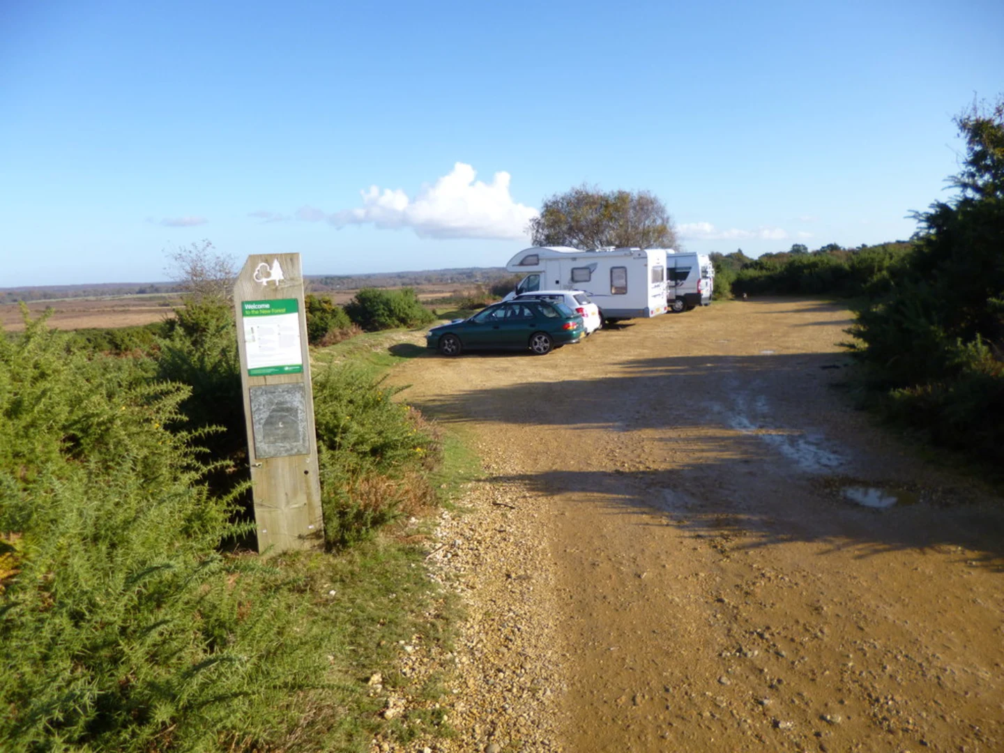 An image depicting the trail Hincheslea Moor and Red Hill Loop and its surrounding area.