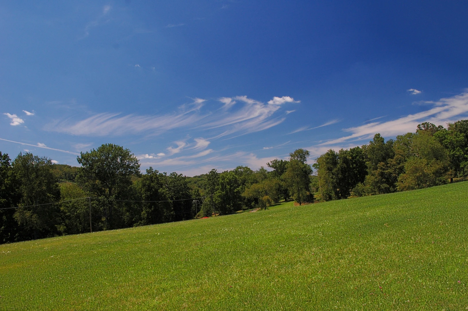 An image depicting the trail South Park and Buffalo Ridge Loop and its surrounding area.