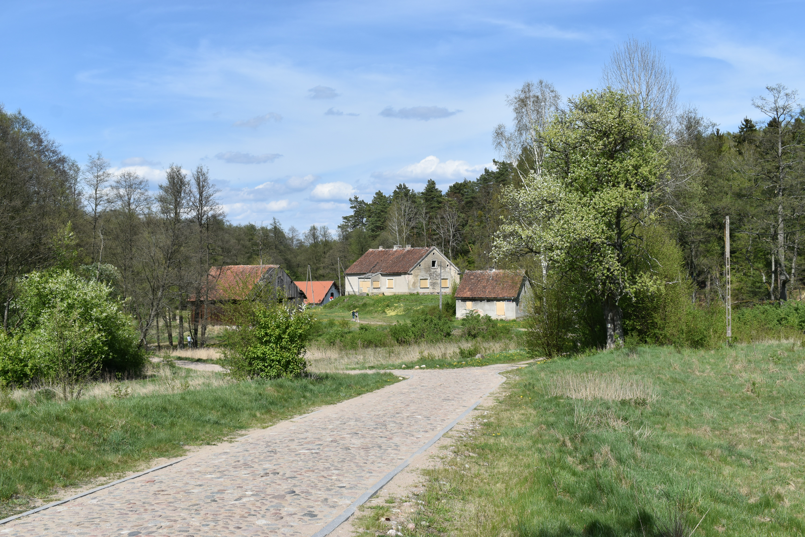 An image depicting the trail Three Foothills Trail and its surrounding area.