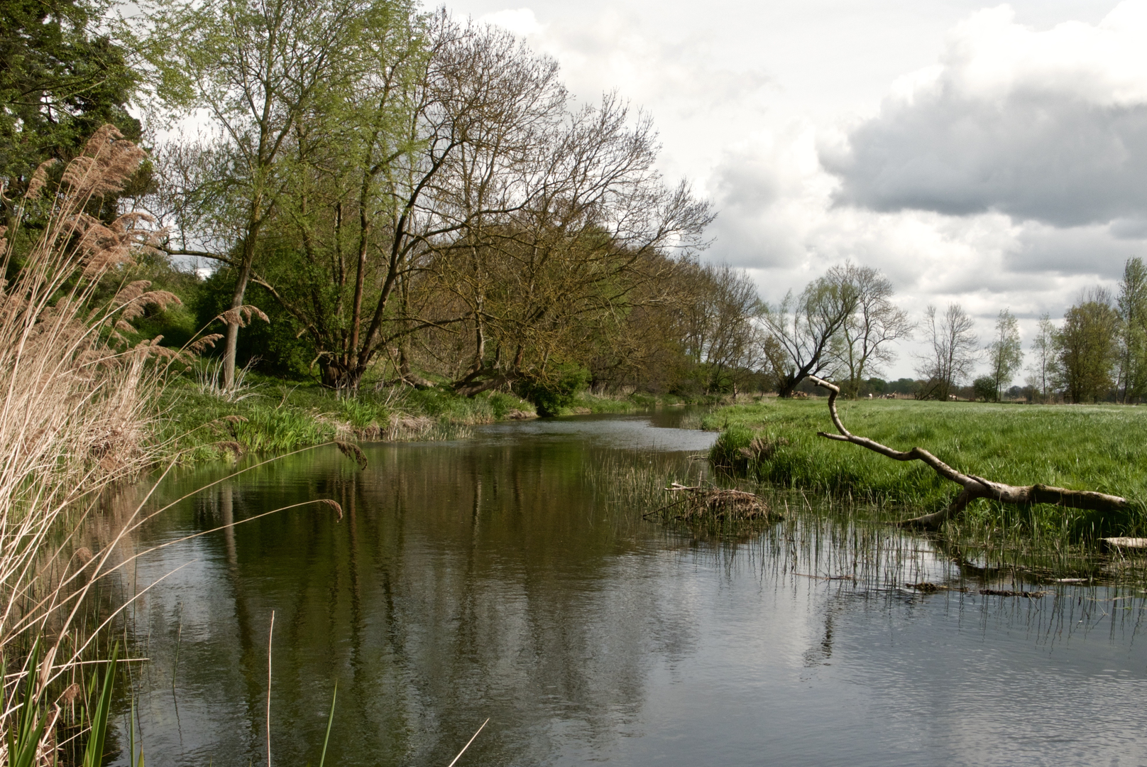 An image depicting the trail Bigod Way and its surrounding area.