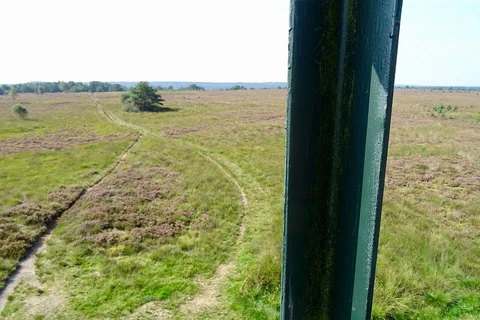 Grijze Berg, Kromme Elboog and Rozendaalsche Veld via Tunnekes Weg and Konongs Weg