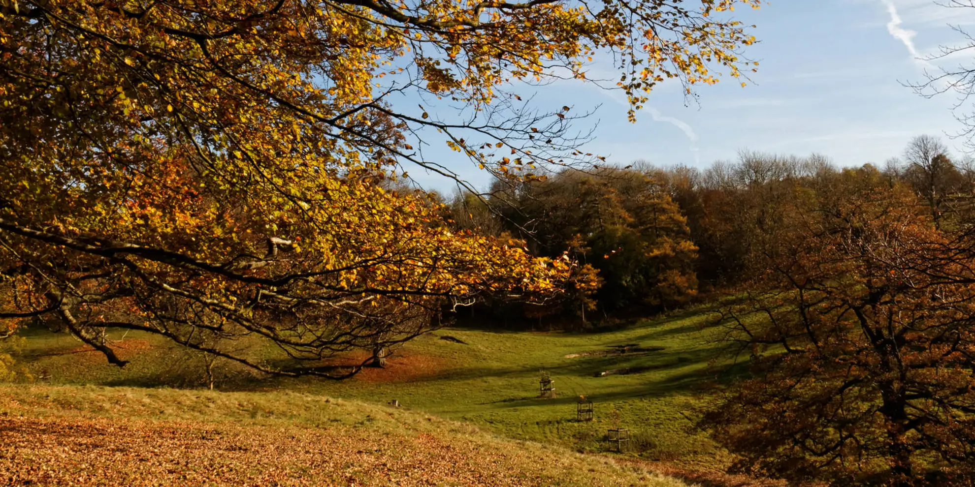 An image depicting the trail Hinton and Dyrham Circular and its surrounding area.