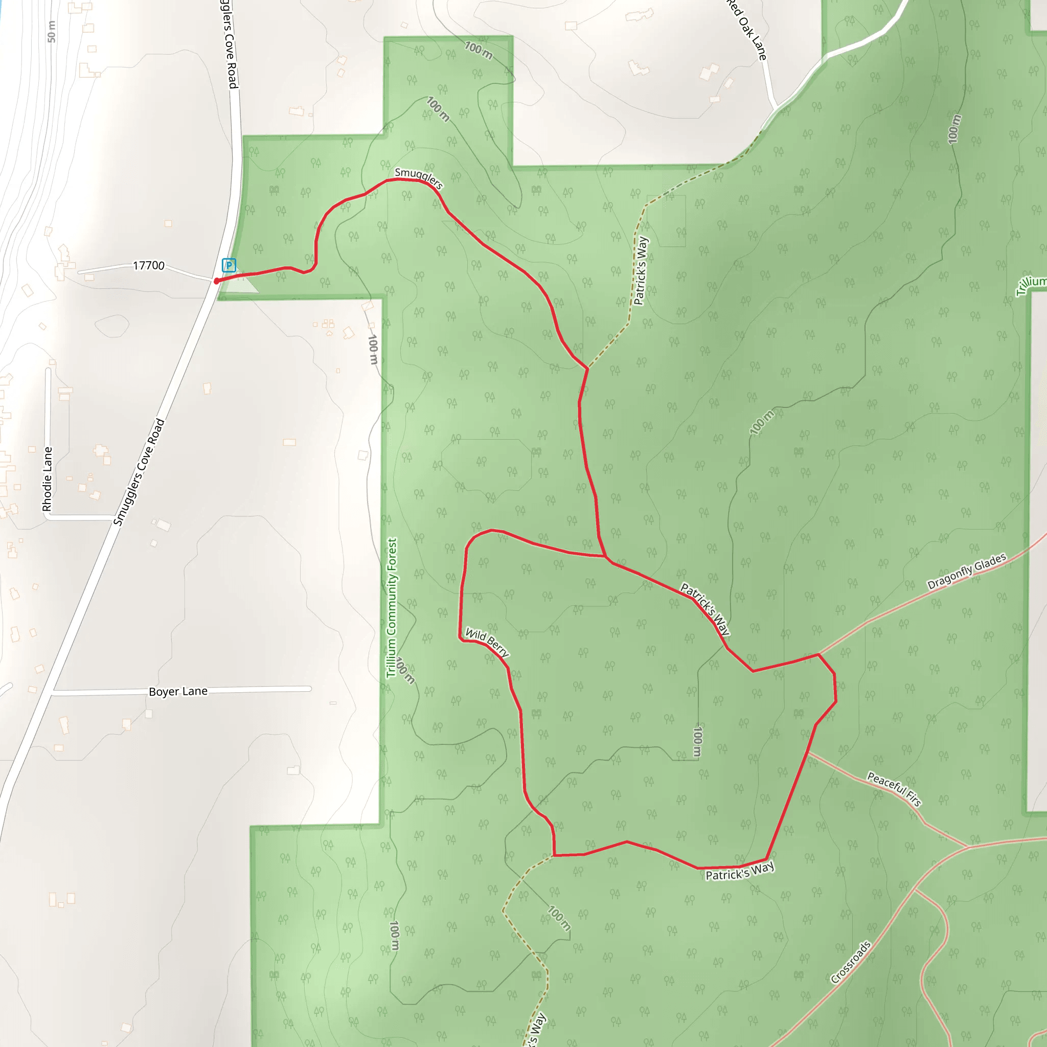 Trillium Community Forest Loop from Smugglers Cove Road mobile static map