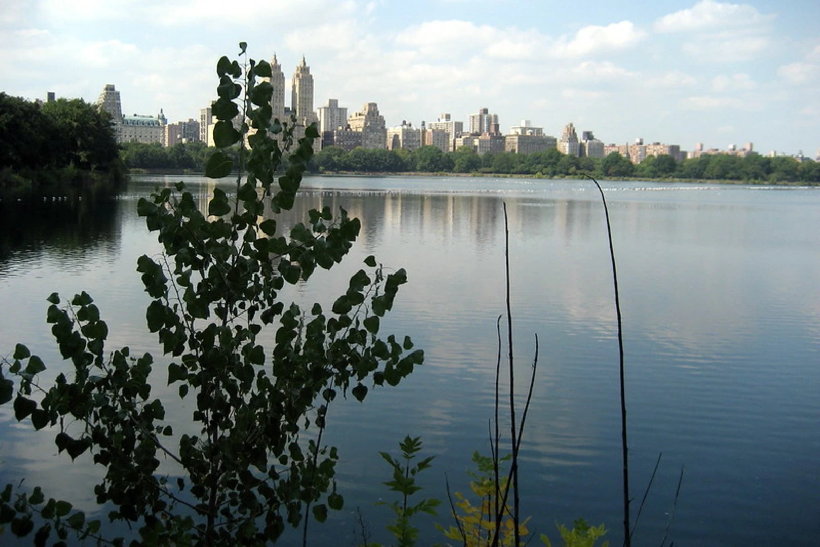 An image depicting the trail Jacqueline Kennedy Onassis Reservoir Loop and its surrounding area.
