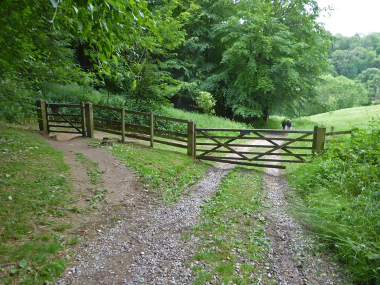 An image depicting the trail Westridge Wood and Hermitage Wood from Wotton-under-Edge and its surrounding area.