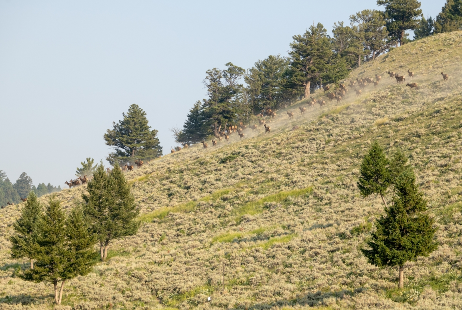 An image depicting the trail Rescue Creek Trail and its surrounding area.