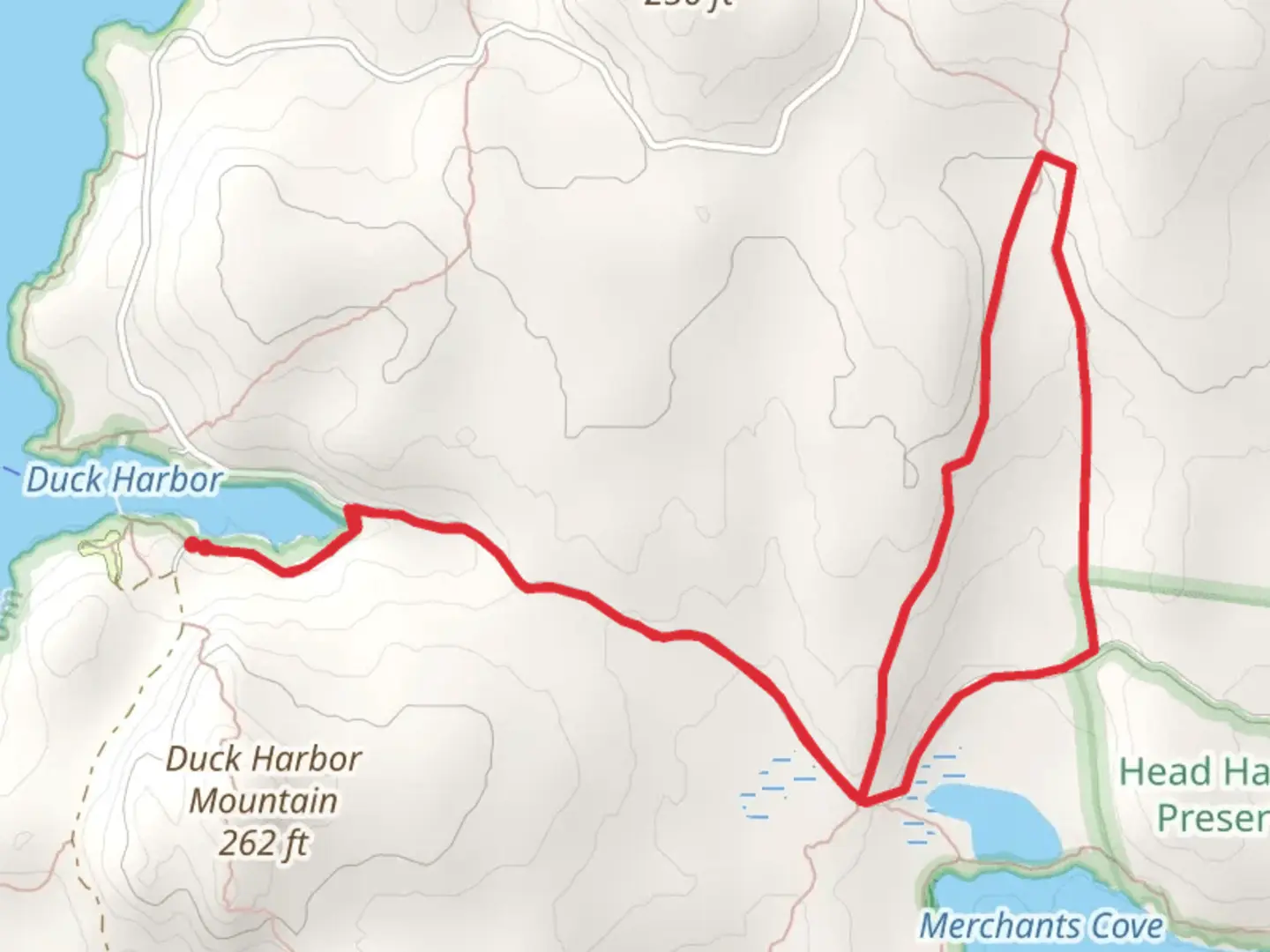 An image depicting the trail Merchant Brook from Duck Harbor Campground and its surrounding area.