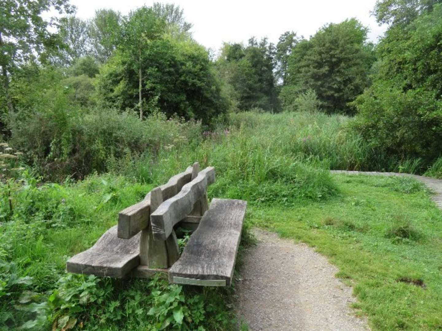 An image depicting the trail Winnall Moors Nature Reserve Loop and its surrounding area.