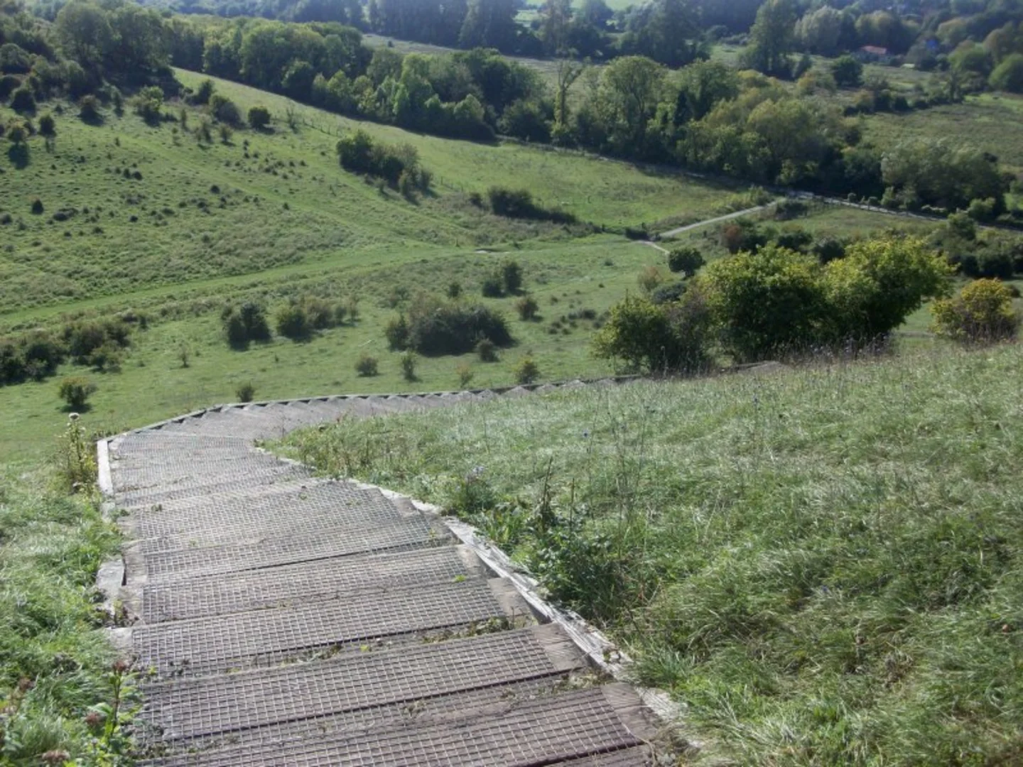 An image depicting the trail Saint Catherine's Hill Nature Reserve and St James Way and its surrounding area.