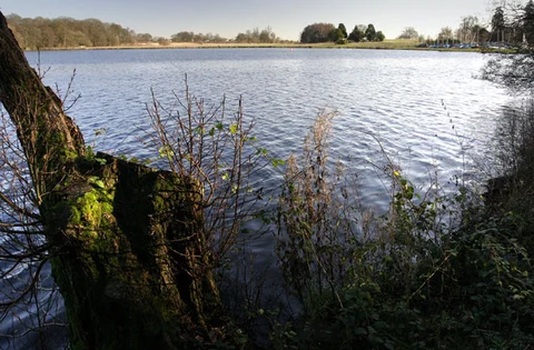 The Mere and Colemere and Blake Mere via Shropshire Way Main Route