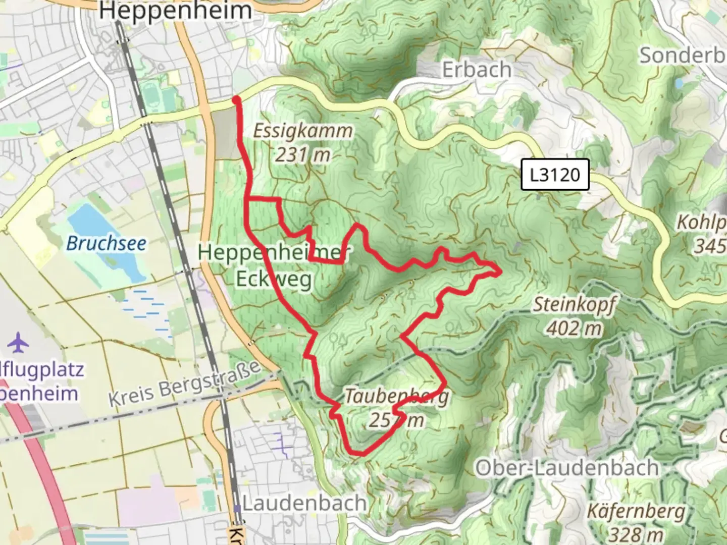 An image depicting the trail Taubenberg Loop via Burgensteig Bergstrasse and its surrounding area.