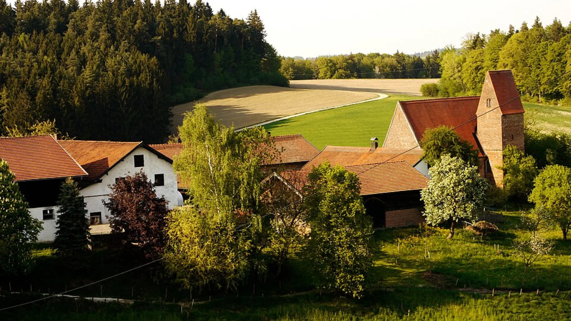An image depicting the trail Buchwald Loop and its surrounding area.