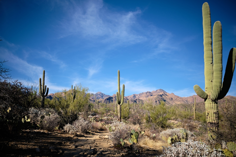 An image depicting the trail Sabino Lake Loop Trail and its surrounding area.