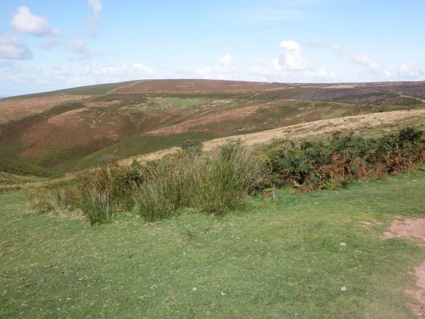 An image depicting the trail Vinny Combe Plantation Loop and its surrounding area.