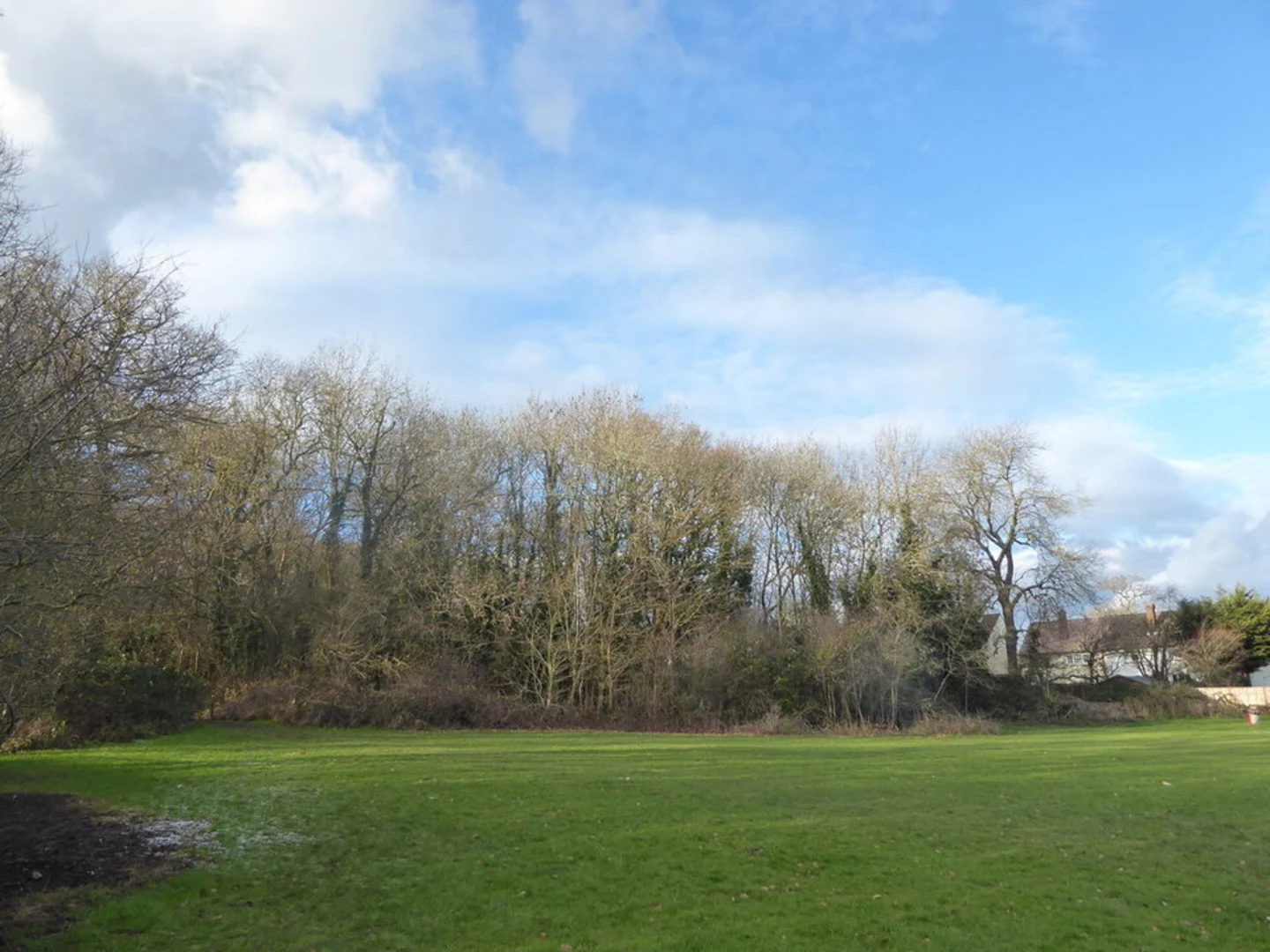 An image depicting the trail Oxhey Woods and its surrounding area.