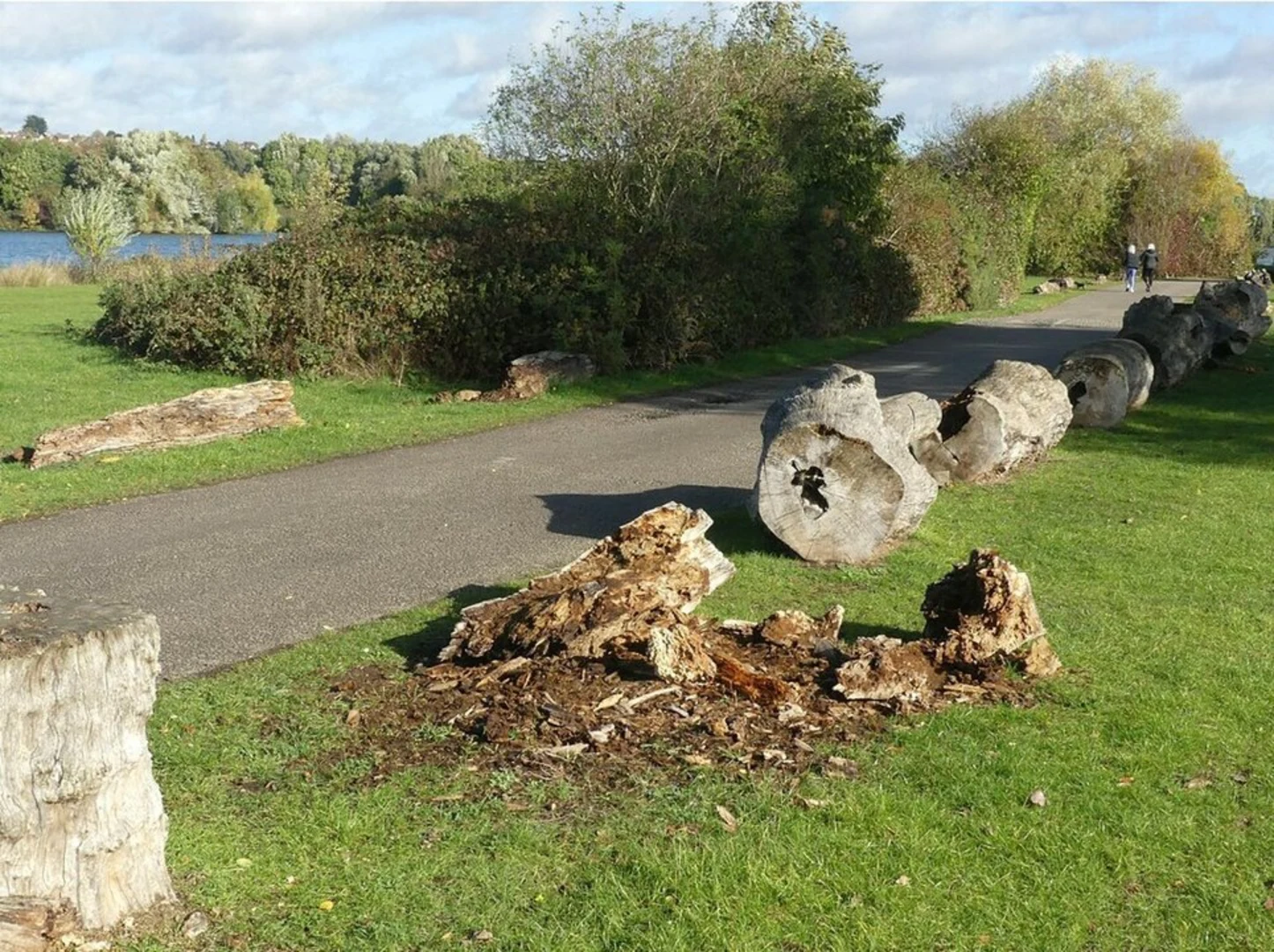 An image depicting the trail Colwick Country Park Loop and its surrounding area.