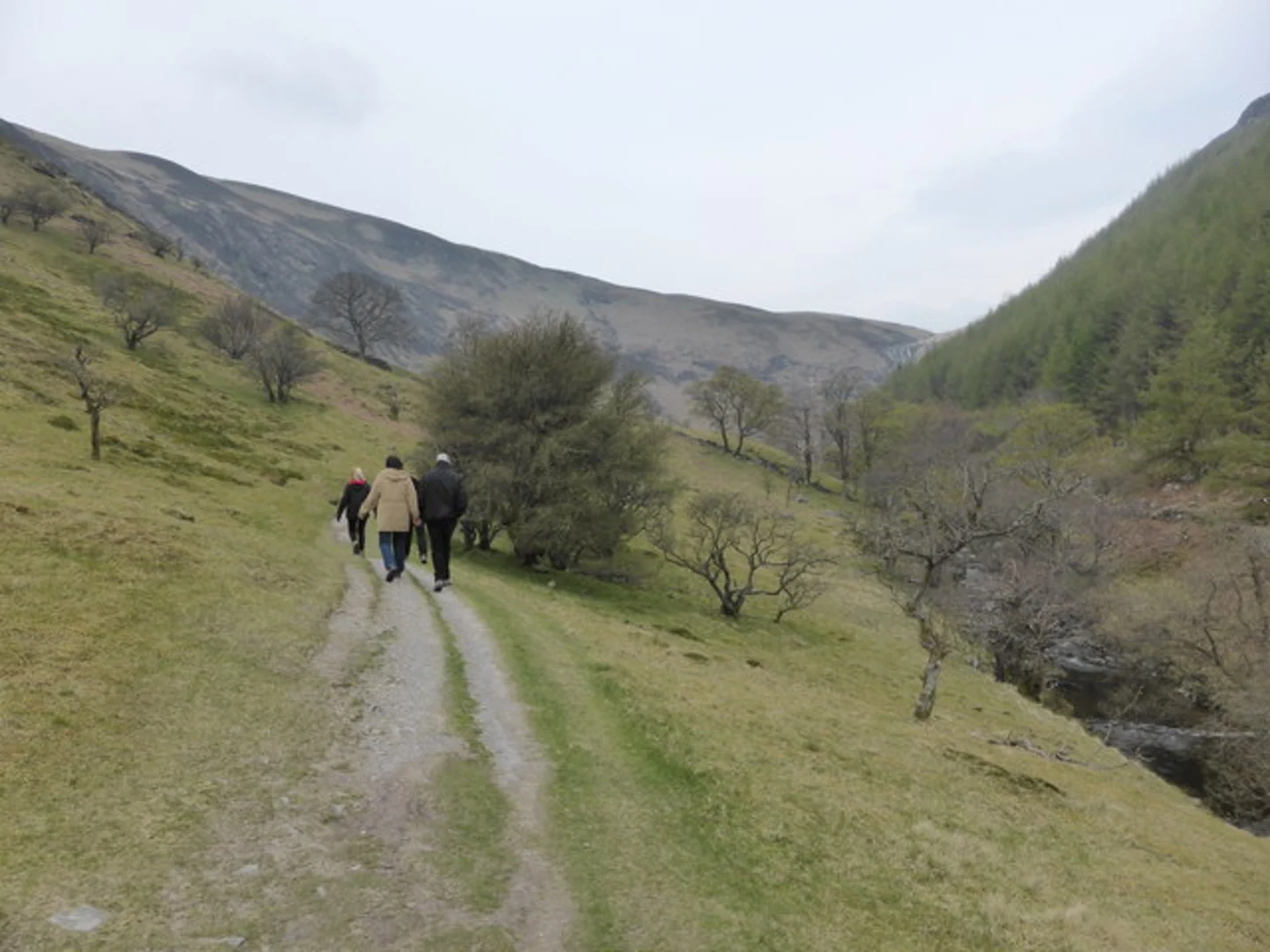 An image depicting the trail Rhiwargor Waterfall Walk and its surrounding area.