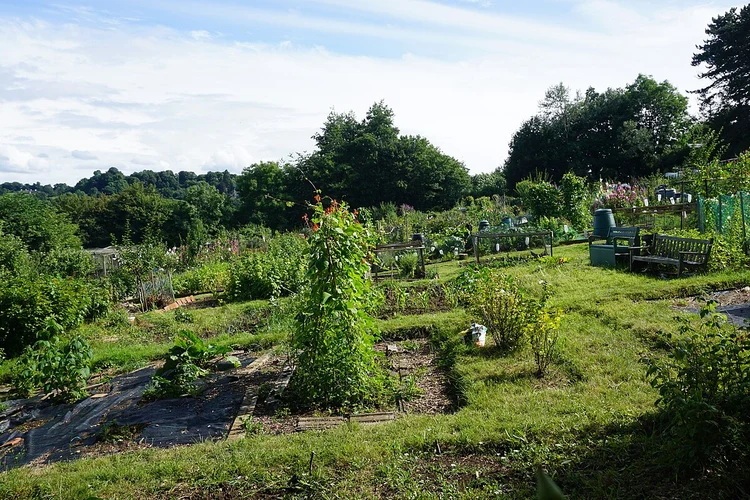 Lyncombe Hill Loop - Winsford