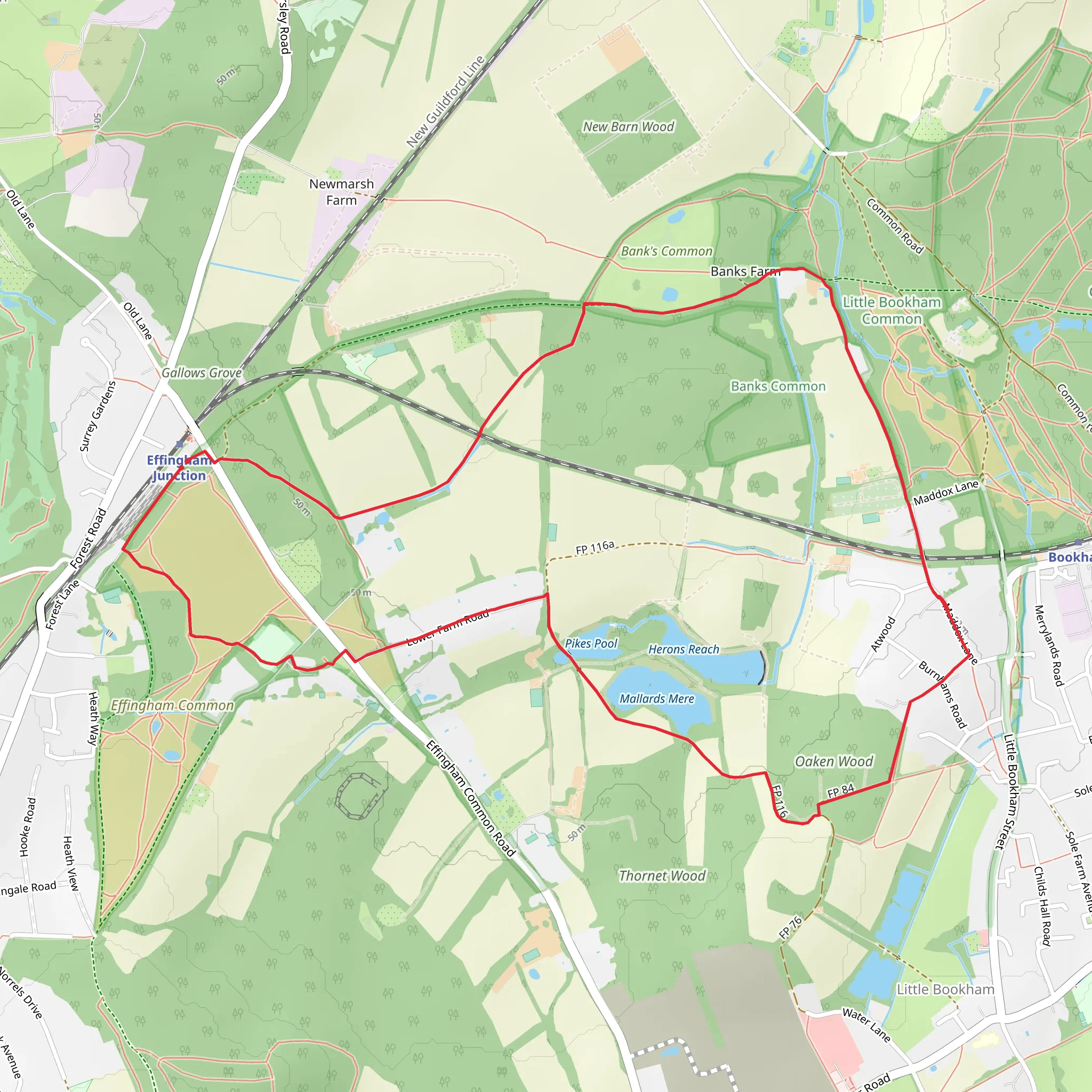 Great Mornshill Wood via Effingham Walk mobile static map
