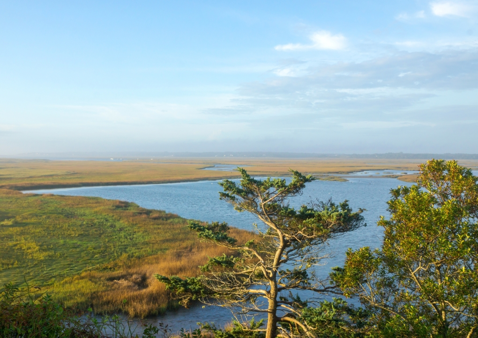 An image depicting the trail Buttonbush Trail Loop and its surrounding area.