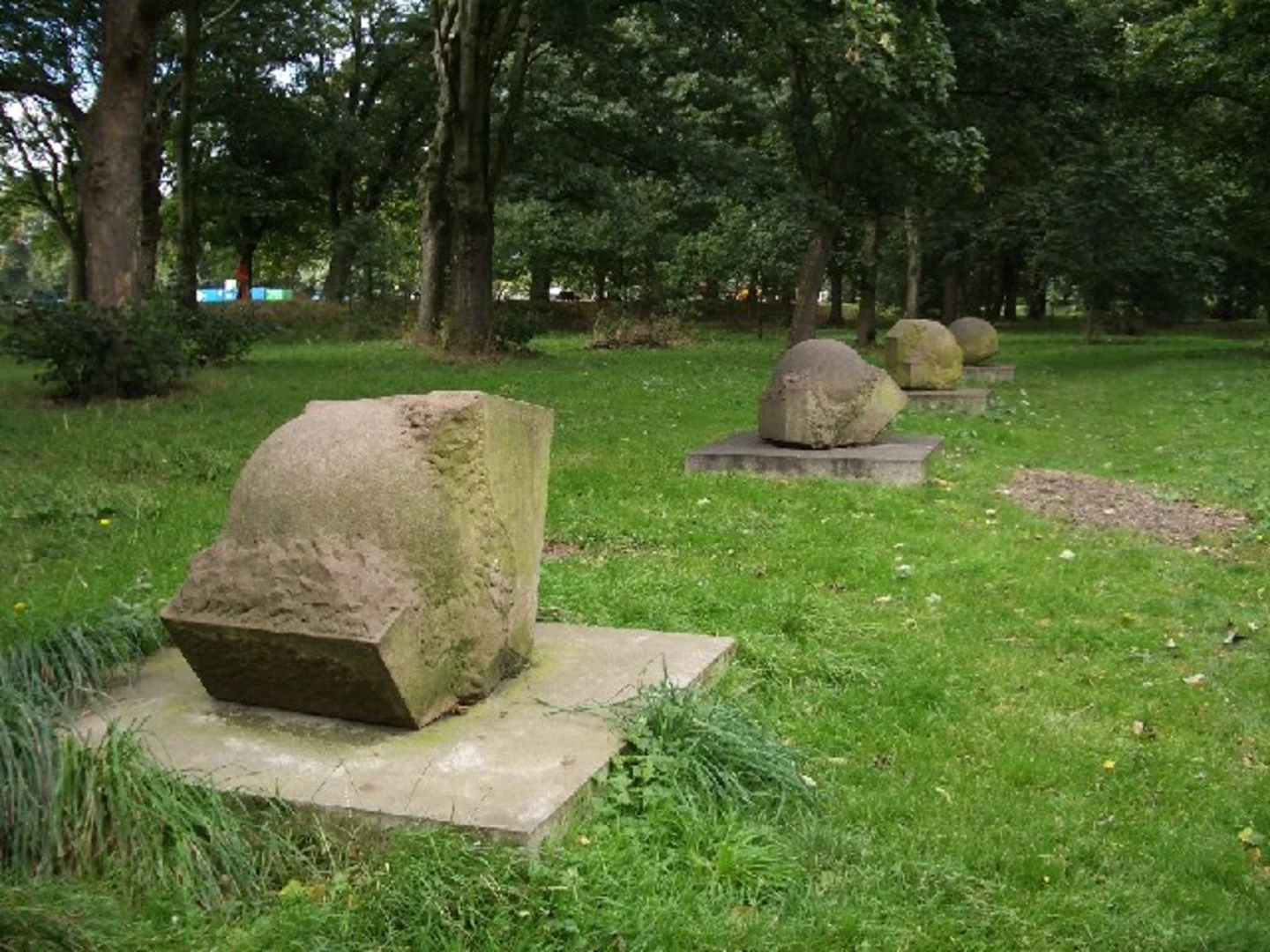 An image depicting the trail Bitts Park Short Loop and its surrounding area.