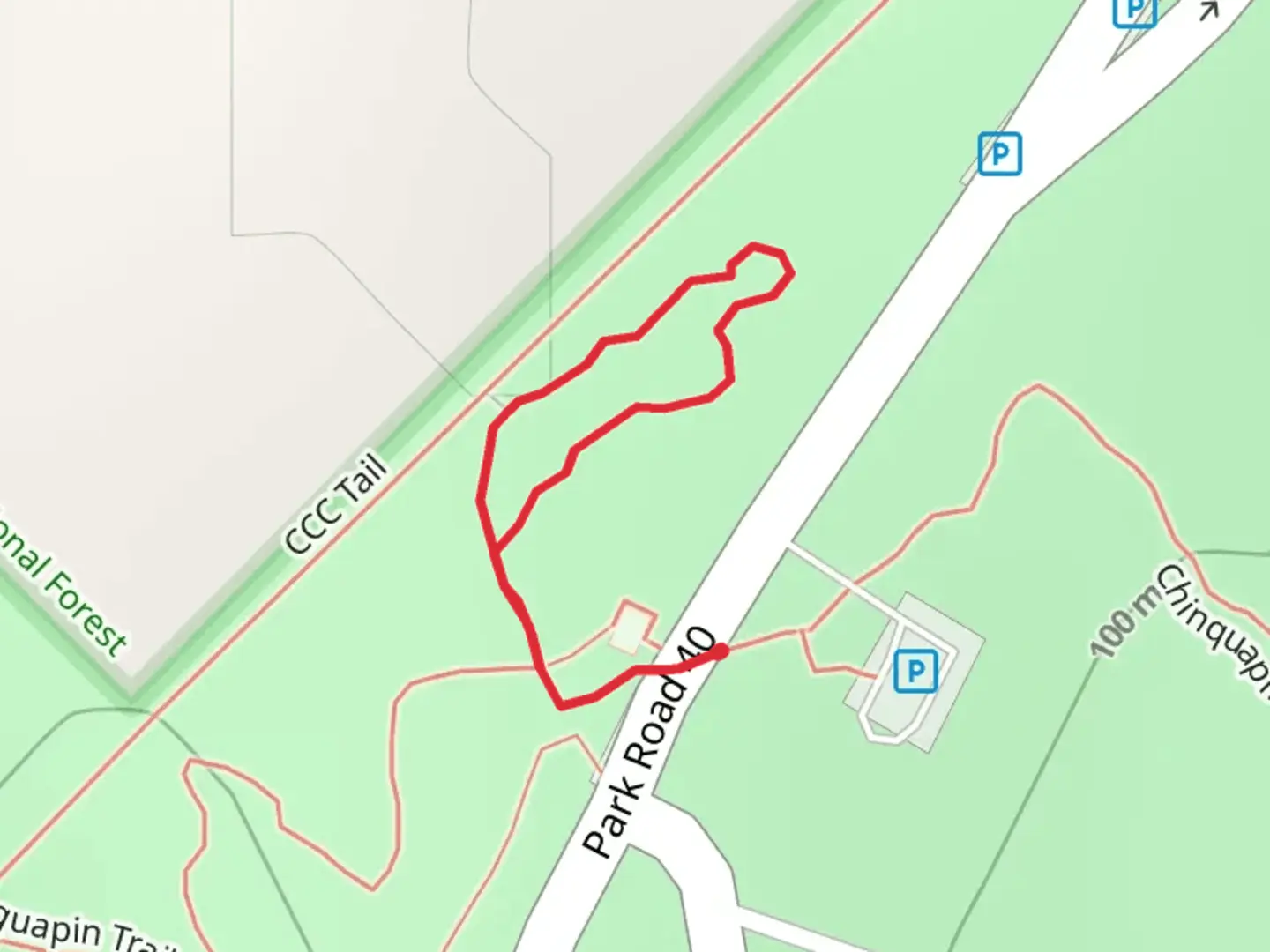 An image depicting the trail Loblolly Loop Trail and its surrounding area.