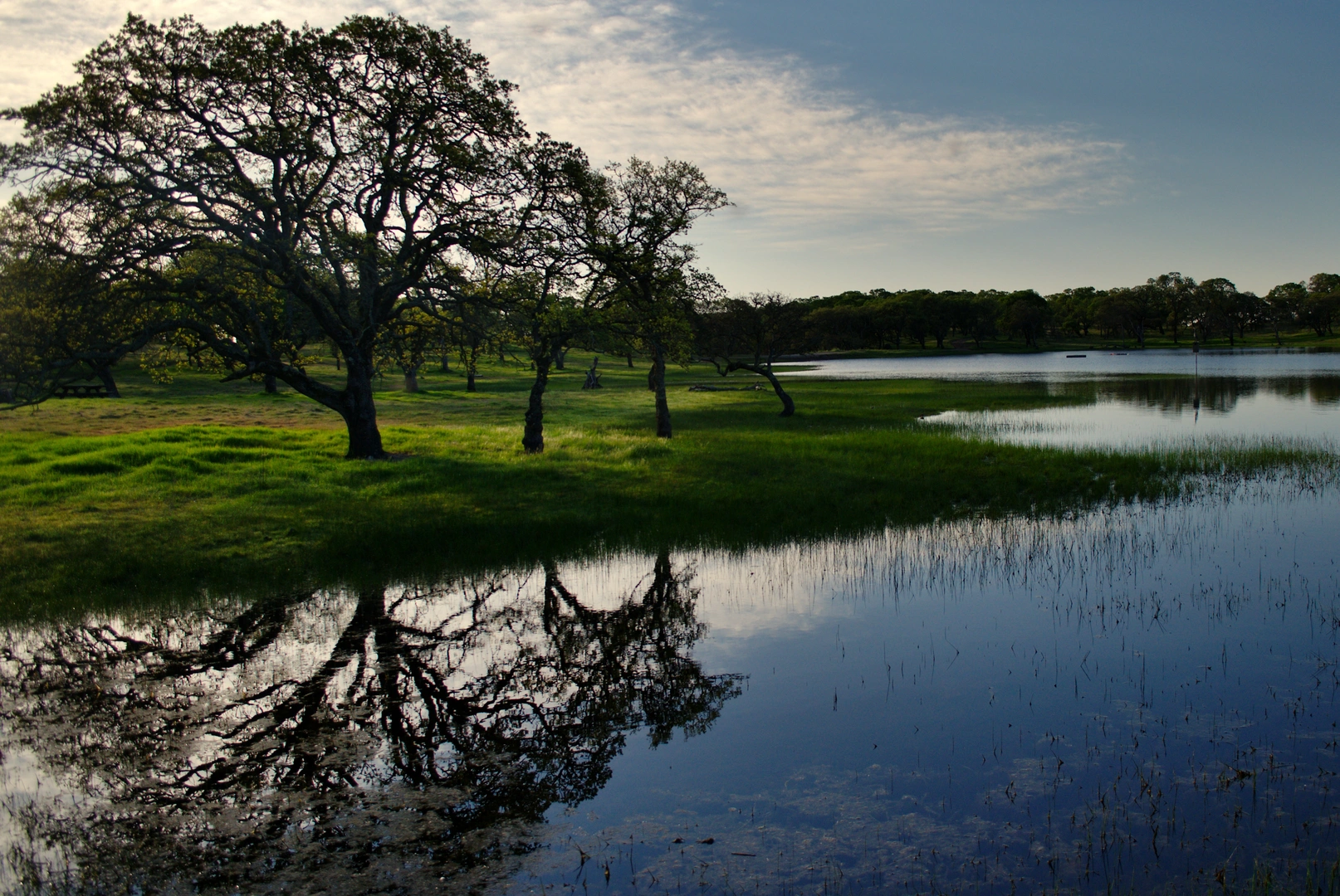 An image depicting the trail Quarry, Lower Mystic and Mason Pond Loop and its surrounding area.