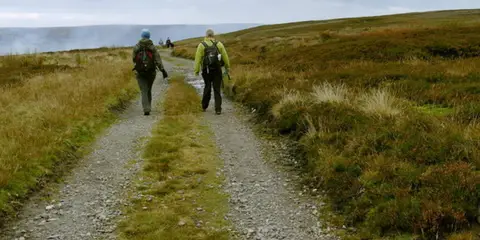 Great Pinseat from Surrender Bridge