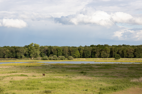 Grote Ijzeren Man, Geurtsven and Eendeven Loop