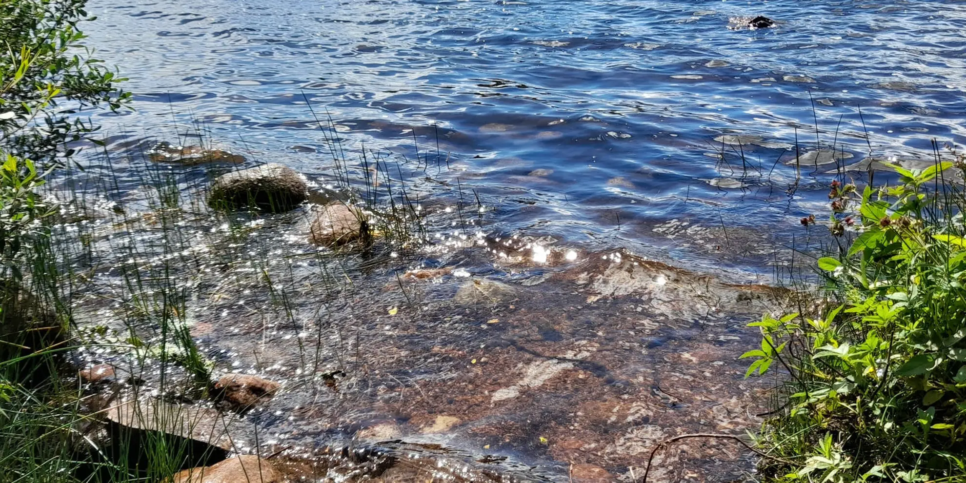 An image depicting the trail Loch Kinord Walk and its surrounding area.