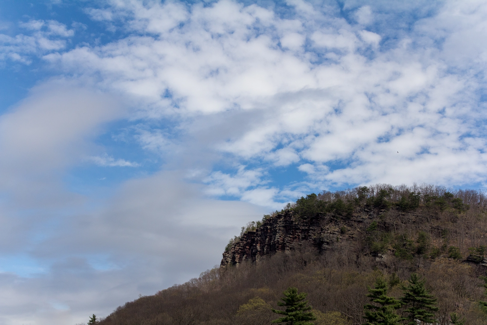An image depicting the trail Tilbury Knob Trail and its surrounding area.