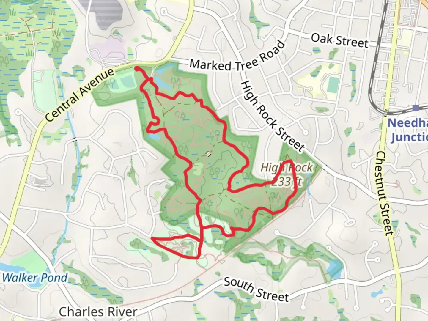 An image depicting the trail Needham Town Forest - Farley Pond Area Loop Trail and its surrounding area.
